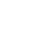 Punção Aspirativa por Agulha Fina (PAAF)
